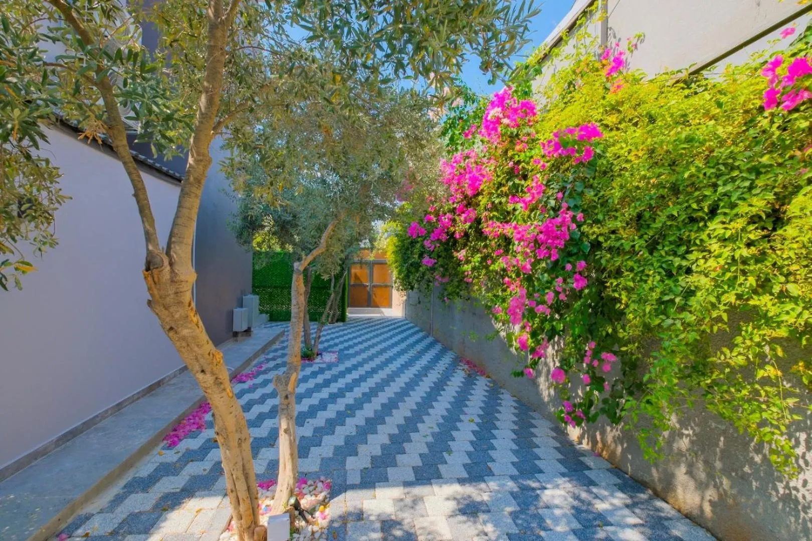 Villa Alisen 1 Fethiye