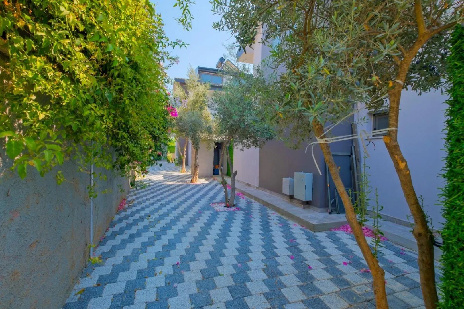 Villa Alisen 1 Fethiye Turkey